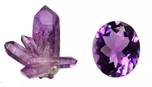 瑞典平民王后,从 妖孽 到 国宝 ,凭它竟能稳坐后位40载